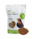 1000ct Live Giant Mealworms